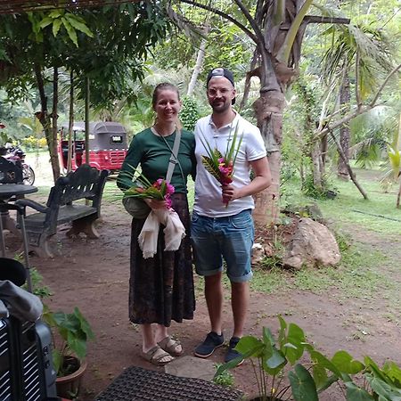 Jungle Eco Lodge & Safari Sigiriya Eksteriør bilde