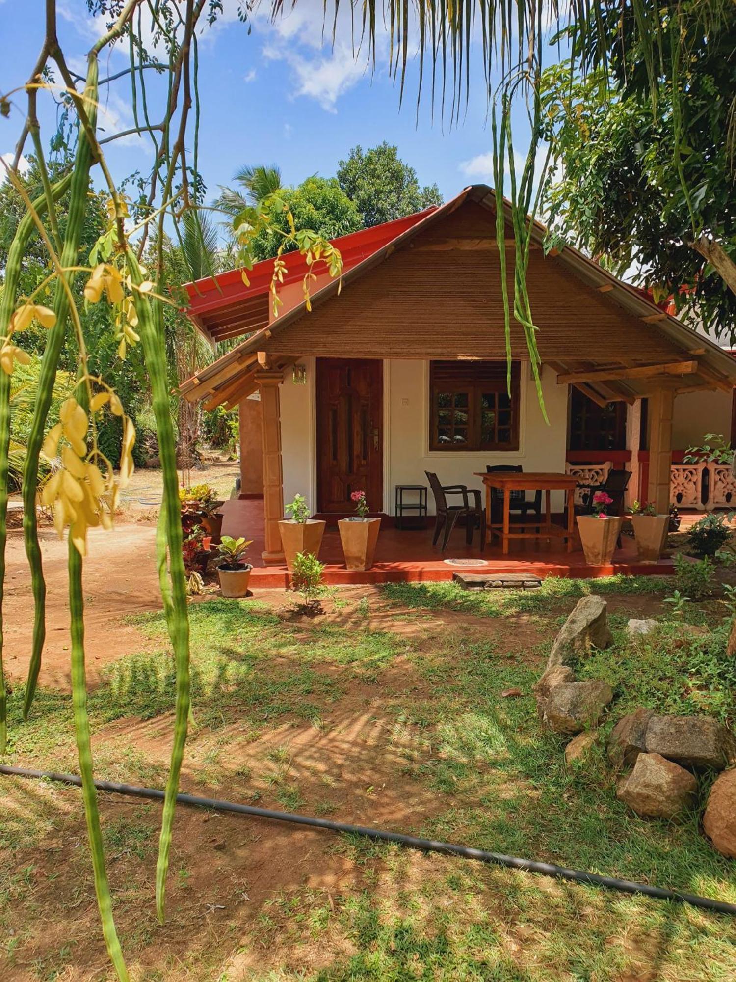 Jungle Eco Lodge & Safari Sigiriya Eksteriør bilde