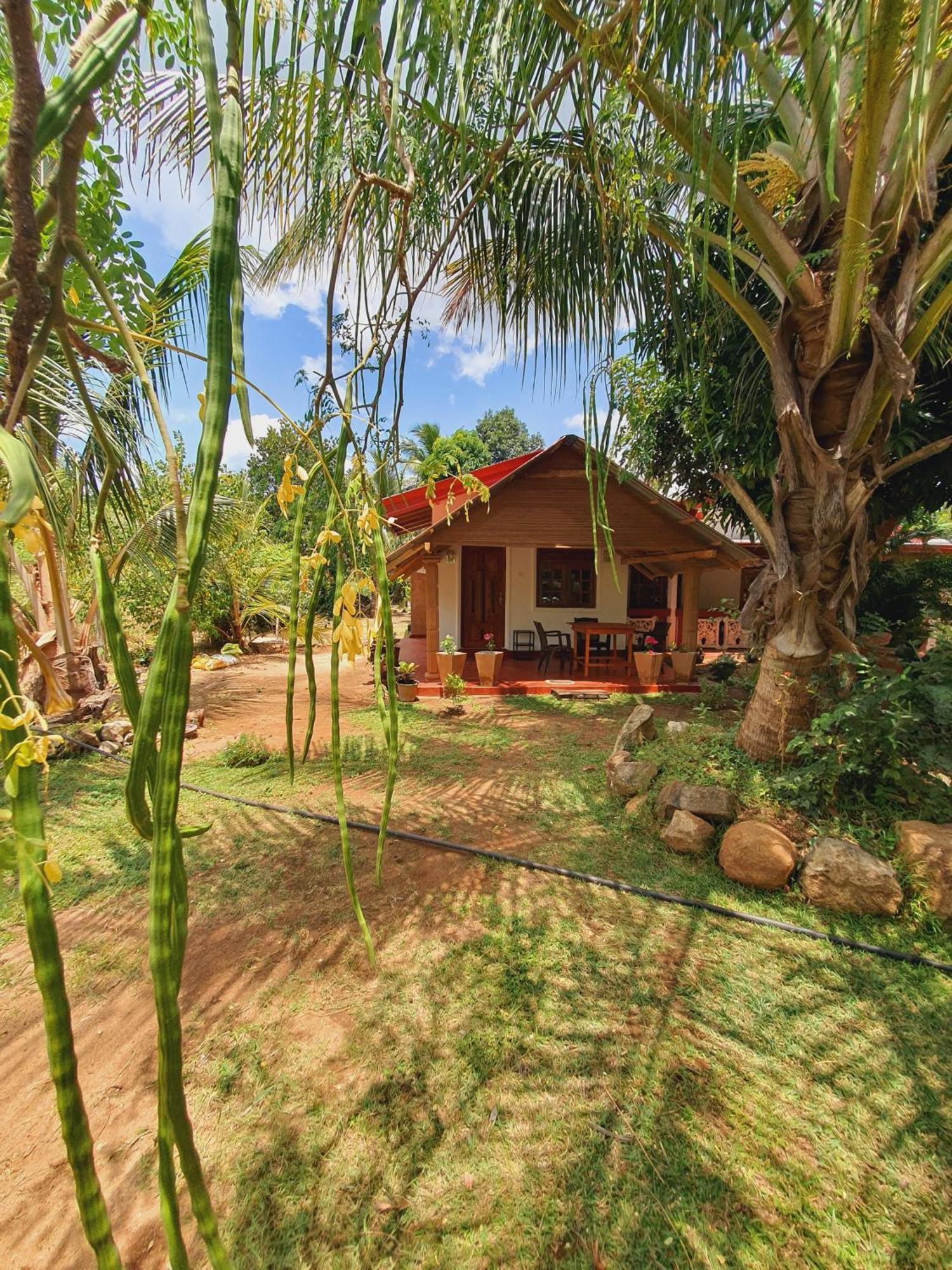 Jungle Eco Lodge & Safari Sigiriya Eksteriør bilde