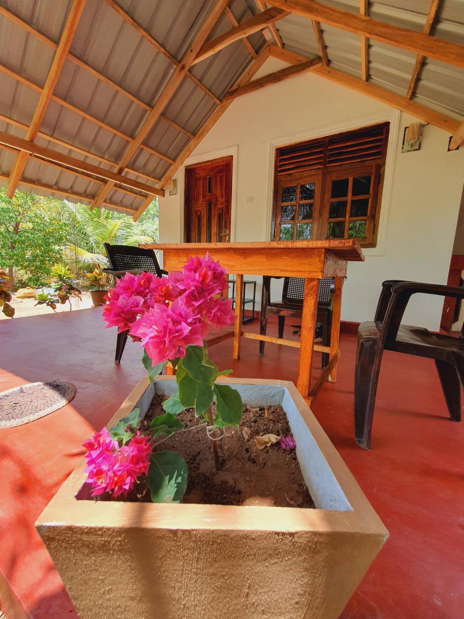 Jungle Eco Lodge & Safari Sigiriya Eksteriør bilde