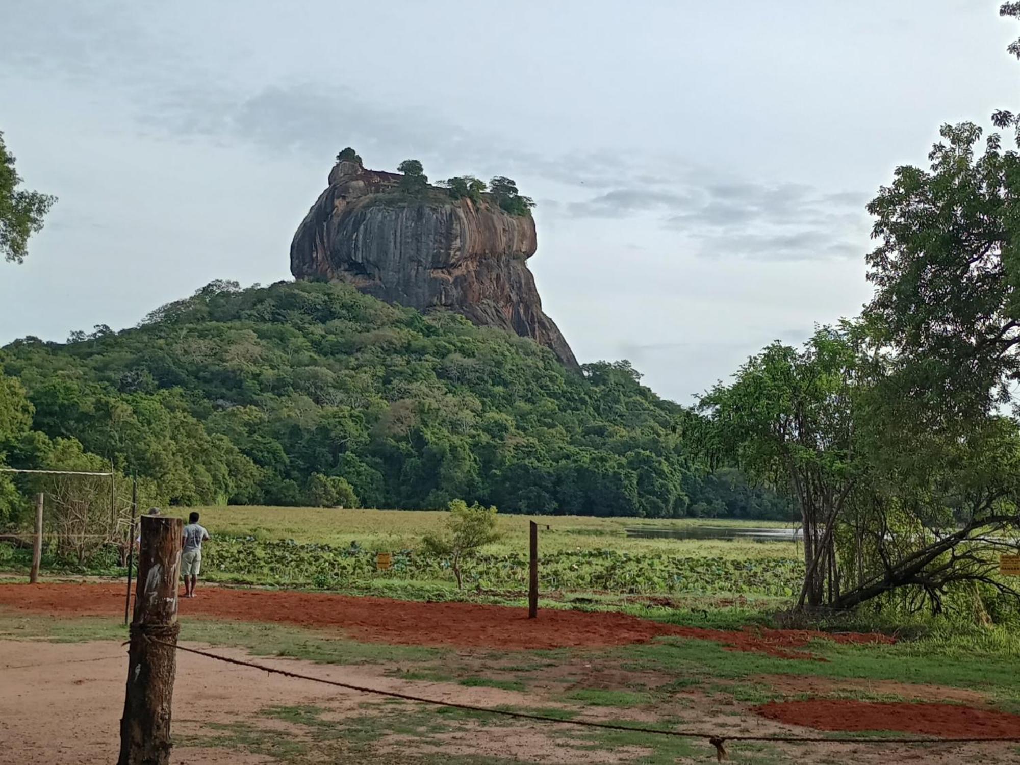 Jungle Eco Lodge & Safari Sigiriya Eksteriør bilde