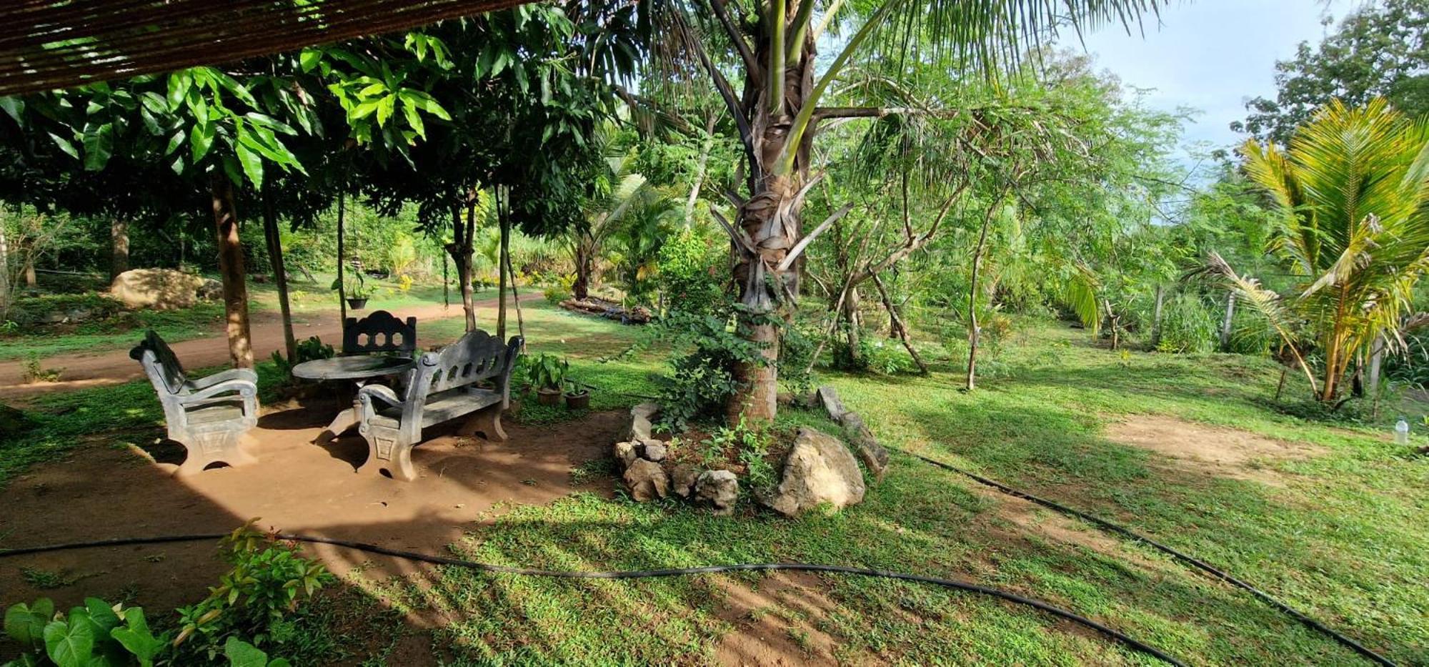 Jungle Eco Lodge & Safari Sigiriya Eksteriør bilde